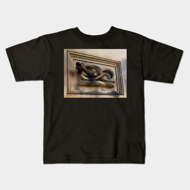 Chatsworth-snake Kids T-Shirt by jasminewang